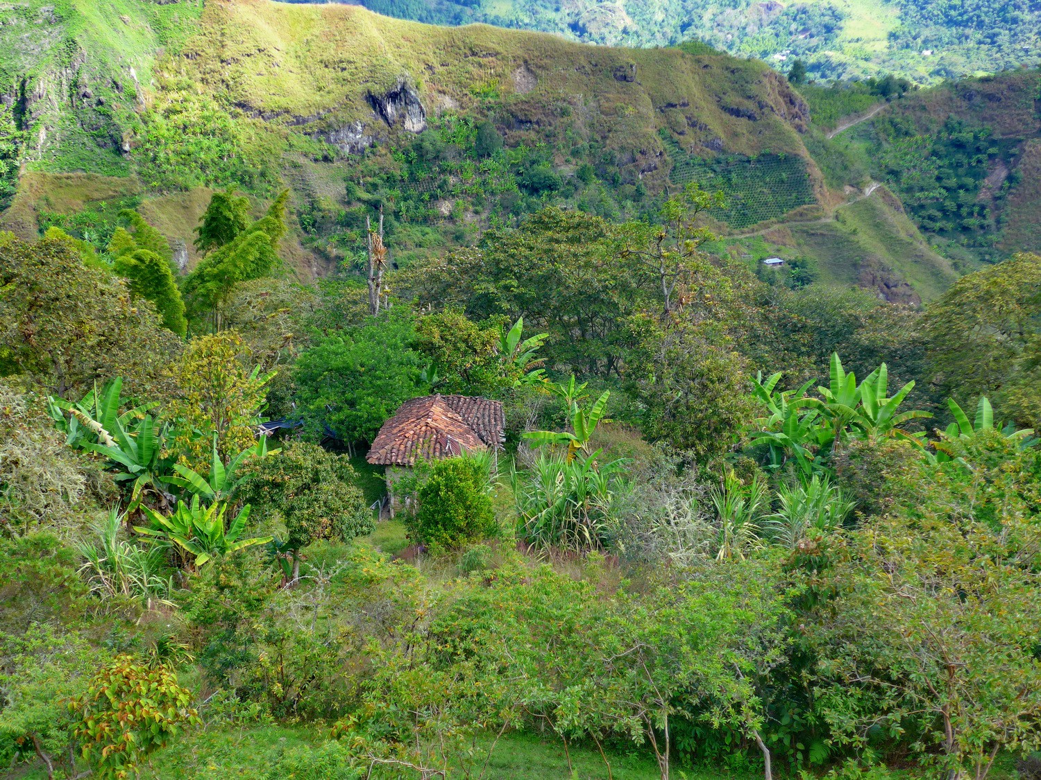 Small house with the trail between Alto de San Andrés and El Aguacate